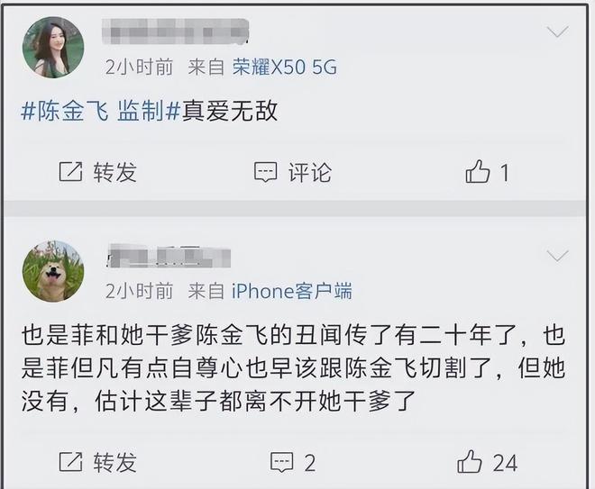 陈金飞变身刘亦菲新戏监制，这父女情深还是另有隐情？