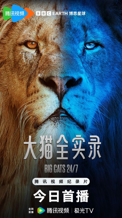 《大猫全实录》百度网盘在线免费观看〔蓝光1080P泄露版〕